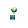 LEGO Botanicals 11511 Vandens lelijos (259 d.)