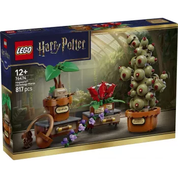 LEGO Harry Potter 76474 Hogvartso Žolininkystės augalai (817 d.)