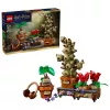LEGO Harry Potter 76474 Hogvartso Žolininkystės augalai (817 d.)