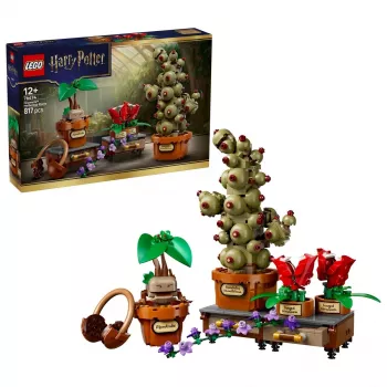 LEGO Harry Potter 76474 Hogvartso Žolininkystės augalai (817 d.)