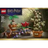 LEGO Harry Potter 76474 Hogvartso Žolininkystės augalai (817 d.)