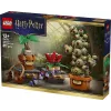 LEGO Harry Potter 76474 Hogvartso Žolininkystės augalai (817 d.)