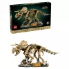 LEGO Jurassic World Dinosaur Fossils: Triceratops 77985 (1154 vnt.)