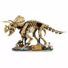 LEGO Jurassic World Dinosaur Fossils: Triceratops 77985 (1154 vnt.)