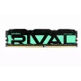 PC atmintis DDR4 Rival Radiant 16GB (1x16GB) 3200MHz CL16 Green