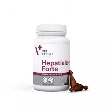 VetExpert Hepatiale Forte Small Breed & Cats 40 kapsulės
