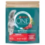 Purina ONE Sterilcat Sausas Kačių ėdalas Jautiena ir Kviečiai 750g