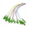 EFB Elektronik FTTH Pigtail LC/APC 12 Pigtails 9/125µm G.657.A2 2m