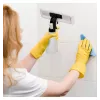 MPM MDS-01 Langų siurblys 28cm 150ml Juoda/Žalia