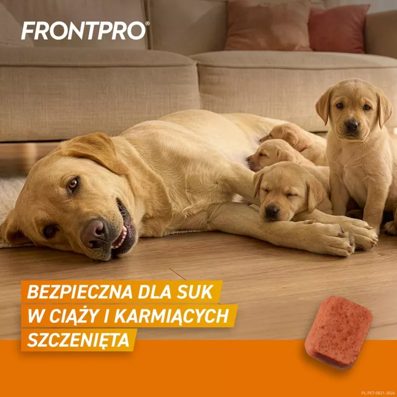 FRONTPRO Tabletės nuo blusų ir erkių šunims (25-50 kg) - 3x 136 mg Afoksolanerio kramtomosios tabletės