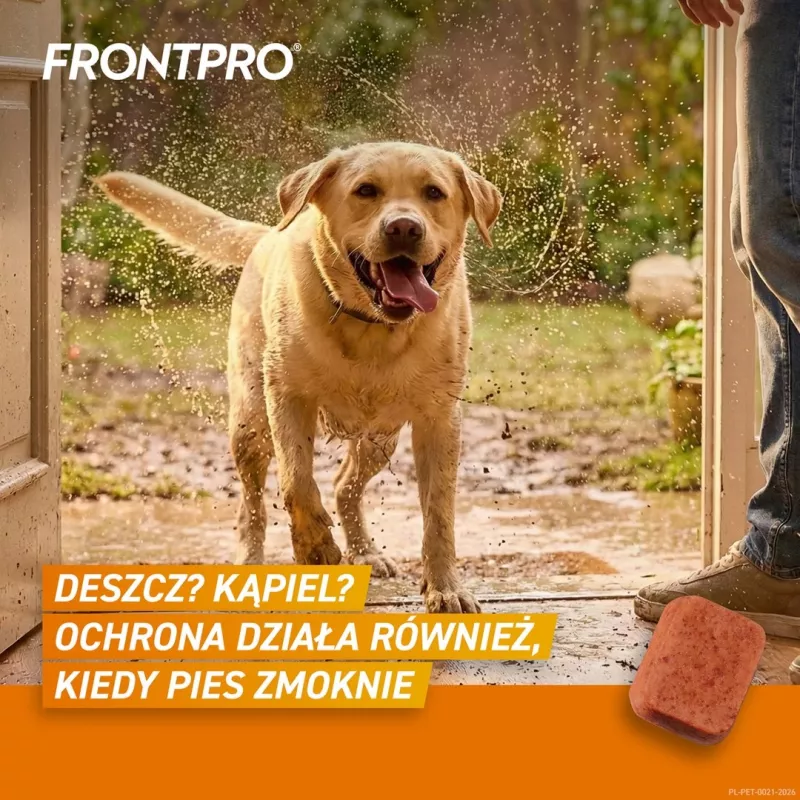 FRONTPRO Tabletės nuo blusų ir erkių šunims (25-50 kg) - 3x 136 mg Afoksolanerio kramtomosios tabletės
