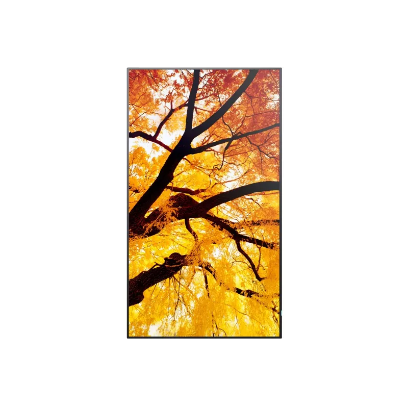 Sharp MultiSync M652 65 inch 4K UHD Professional Display 550 cd/m² 24/7