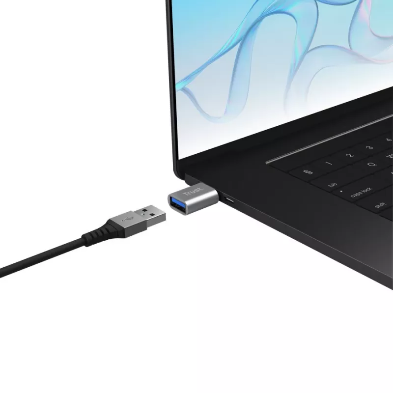 Trust 26221 USB Graphics Adapter sidabrinis