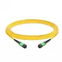 EFB-ELEKTRONIK MTP/APC Female to MTP/APC Female OS2 Single-mode Patch Cable, 12 Fibers, Type B, LSZH, Yellow, 30m
