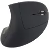 Equip 245110 Vertikali ergonominė belaidė pelė - dešinei rankai - 2,4 GHz - USB imtuvas - juoda