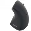 Equip 245110 Vertikali ergonominė belaidė pelė - dešinei rankai - 2,4 GHz - USB imtuvas - juoda