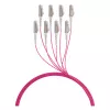 EFB Elektronik Trunk Cable U-DQ(ZN)BH OM4 8G (1x8) LC-LC 20m Dca LSZH