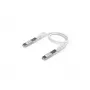 Ubiquiti UACC-Uplink-SFP28-0.3M Pasyvus tiesioginio prijungimo varinis kabelis, 0,3 m, SFP28 į SFP28, 25 Gbps, juodas