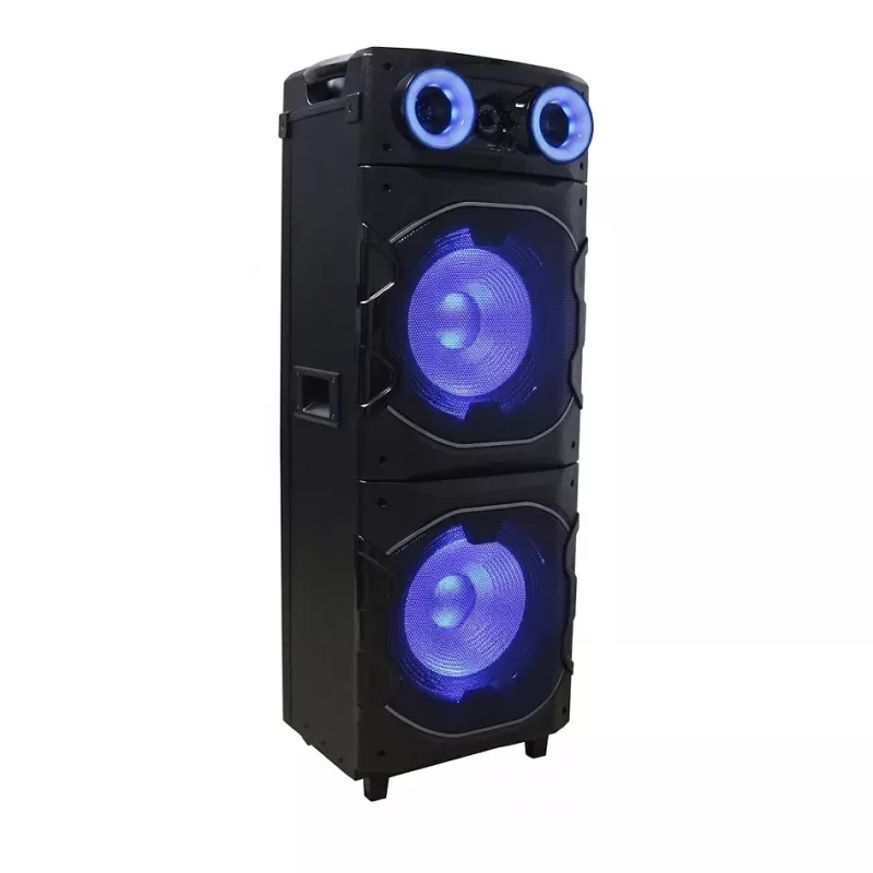 REFLEXION PS25BT Nešiojamas vakarėlių garsiakalbis su Bluetooth, FM radiju, karaoke, LED lemputėmis, 25W RMS, 8 inch žemų dažnių garsiakalbiu, TWS, juodos spalvos