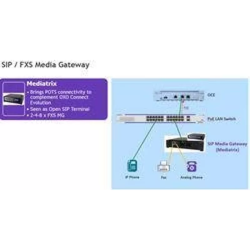 Alcatel-Lucent Enterprise SIP Media Gateway - 4 analoginiai prievadai (3MJ06002AA)