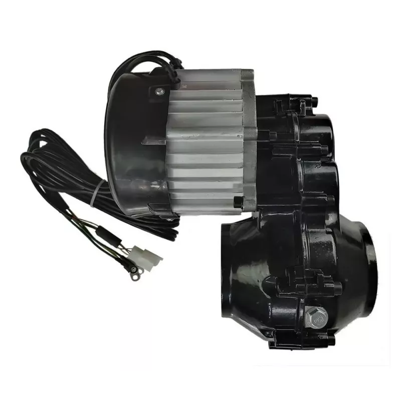 LEAN CARS variklis, skirtas Perfecta YSA021 24V 180W