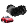 LEAN CARS variklis, skirtas Perfecta YSA021 24V 180W