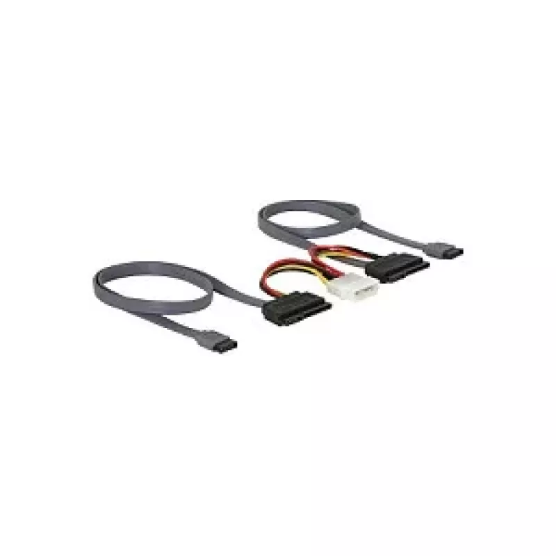 DELOCK SATA All-in-One kabelis 2x HDD