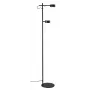 LED LENSER LUCA 2x4W Black Floor LED Light