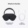 Apple AirPods Max Type-C ausinės su aktyviu triukšmo slopinimu, dangaus mėlyna