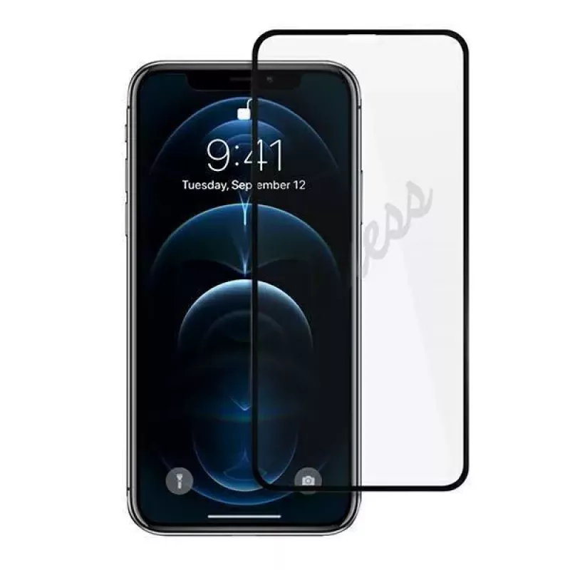 Guess Grūdintas Stiklas GUSPP12LSLTR Ekrano Apsauga, skirta Apple iPhone 12 Pro Max 6,7 colio, Vintage Magic Logo
