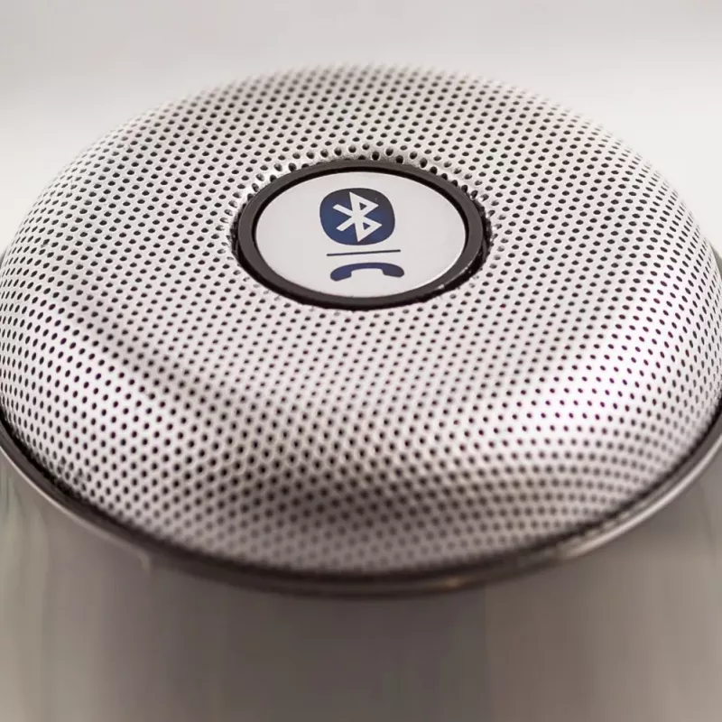 Evelatus ESP01 Bluetooth Speaker Silver