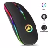 GameBox MR12 belaidė pelė su RGB apšvietimu, tyliu spragtelėjimu, įkraunama per USB, ergonomiškas dizainas, juoda
