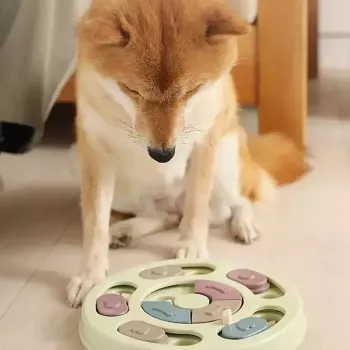 iLike Dog Treat Puzzle Feeder diam. 24 cm Interactive Slow-Eating Toy Training Game Multicolor