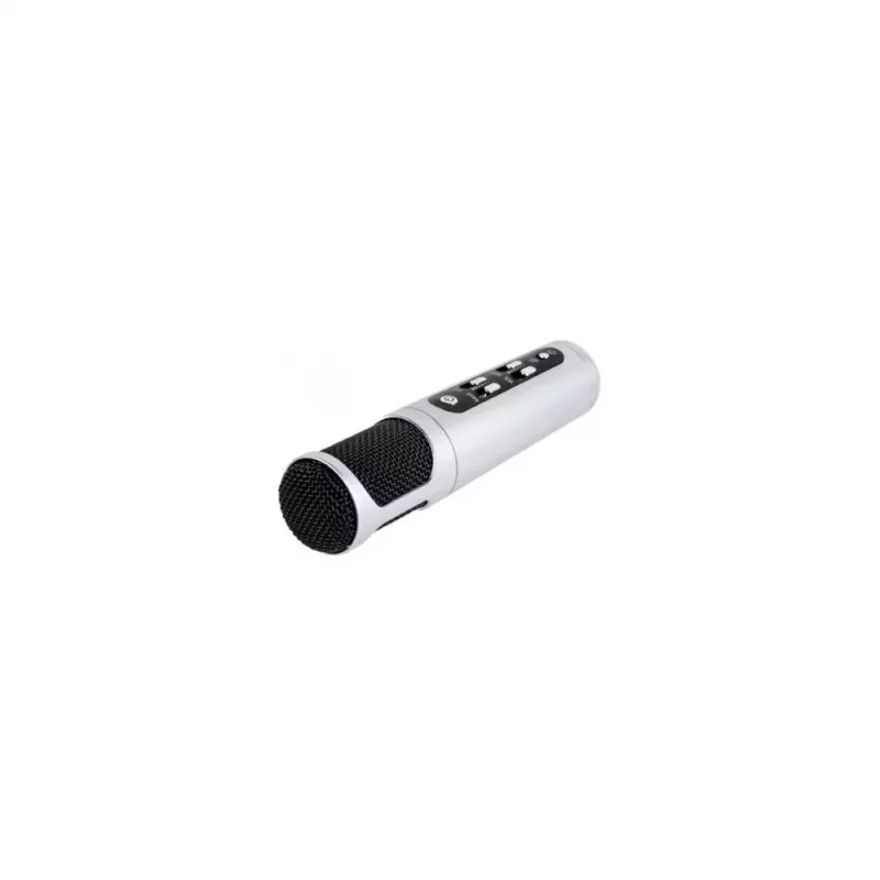 iWear M85 Karaoke mikrofonas su garsiakalbiais, garso efektais, įrašymu, Micro SD, USB, Bluetooth vaikams ir suaugusiems