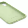 Evelatus Apple iPhone XR Premium Soft Touch Silicone Case Mint Green