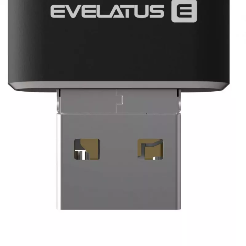 Evelatus USB Flash 4in1 64GB EFD03 (USB, Micro, Type C ir iPhone) Juoda