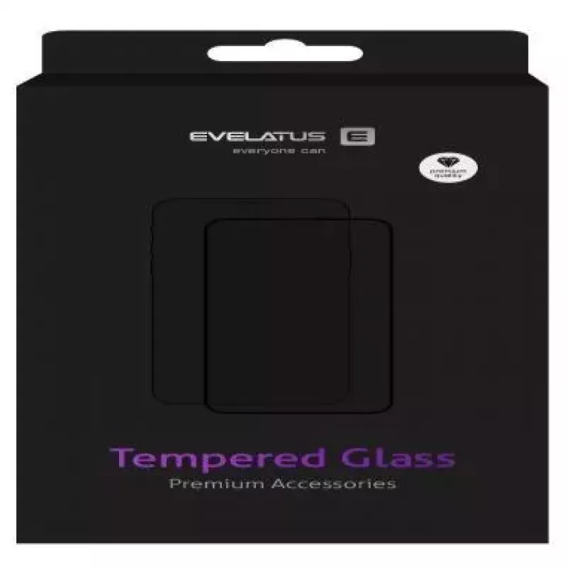 Evelatus Samsung Galaxy Note 20 Ultra Clear Glass UV + Glue