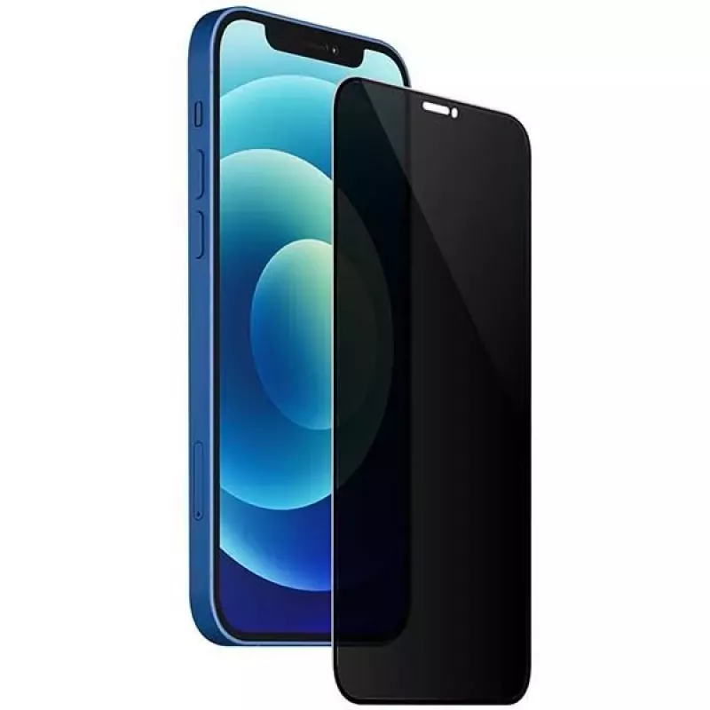 Evelatus Apple iPhone 12 Pro Max Privacy 2.5D Silk Full Cover Japan Glue Anti-Static Screen Protector