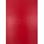 Evelatus Universal Classic Cowhide A3 Film for Screen Cutter Red