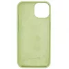 Evelatus Apple iPhone 13 Premium Soft Touch Silicone Case Matcha Green