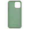Evelatus Apple iPhone 12 Pro Max Premium Soft Touch Silicone Case Mint