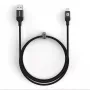 Evelatus USB-A į USB-C laidas 1,2m pintas nailonas juodas