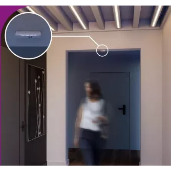 SATEL belaidis užuolaidų detektorius ACD-220-BR (rudas)