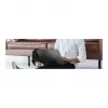 ASUS Zenbook 14 OLED UM3406GA-QD184W - 14 inch WUXGA OLED, AMD Ryzen AI 7 445, 32GB RAM, 1TB SSD, Windows 11 Home
