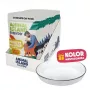 ANIMAL ISLAND NEW JELLY EVERYDAY 12x85g su šėrimo lėkšte