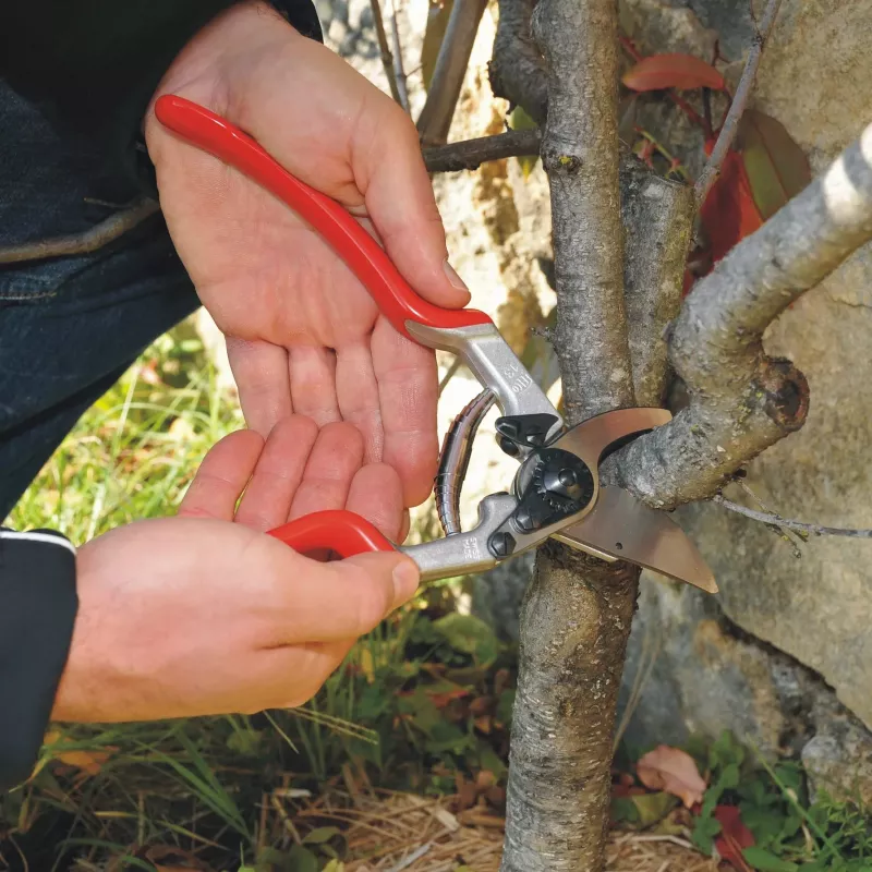 Felco 13 Classic vienos rankos genėjimo žirklės - Bypass, 30 mm pjovimo galia, kalti aliumininiai kotai