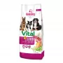 GDD Gold Dog Premium Vital Ėriena ir Ryžiai Sausas Šunų Maistas 12kg