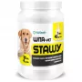 EWE EUROWET Wita-Vet Joints - Papildai šunims - 30 tablečių