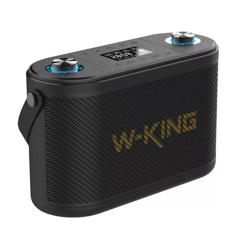 W-KING H10 nešiojamas Bluetooth garsiakalbis 120W RGB šviesos IPX6 juodas