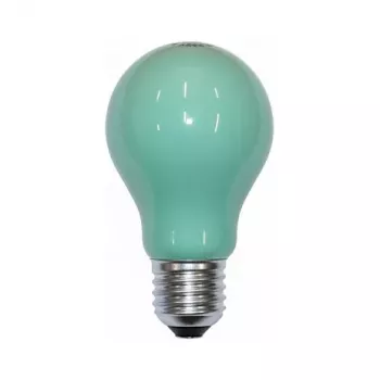 Scharnberger 40246 Kaitrinė lemputė 25W Žalia B60x105mm E27 240V